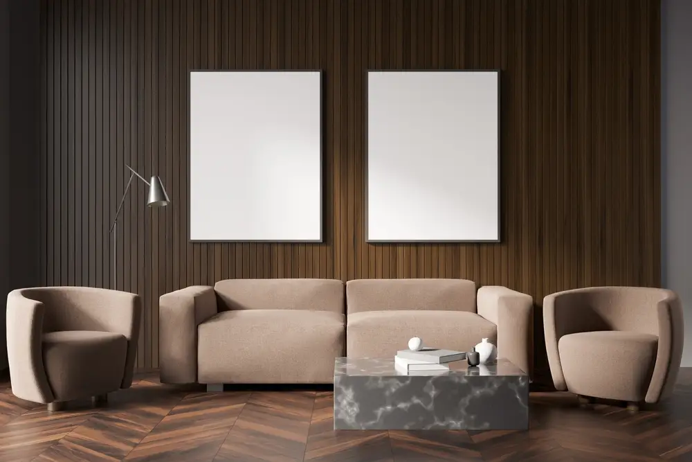 Salon lumineux et chic